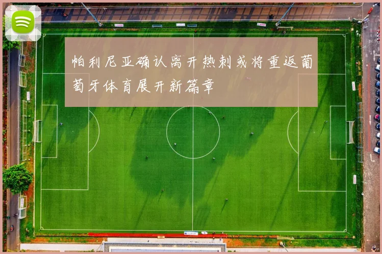 帕利尼亚确认离开热刺或将重返葡萄牙体育展开新篇章