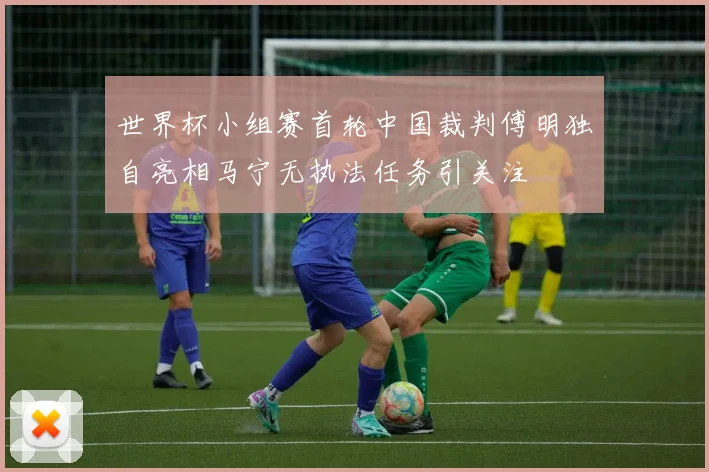世界杯小组赛首轮中国裁判傅明独自亮相马宁无执法任务引关注