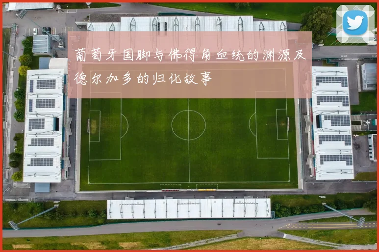 葡萄牙国脚与佛得角血统的渊源及德尔加多的归化故事